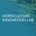 Horticulture Innovation Lab text with gradient backdrop