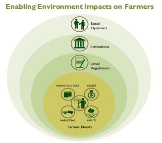 Enabling Environment Impacts on Farmers